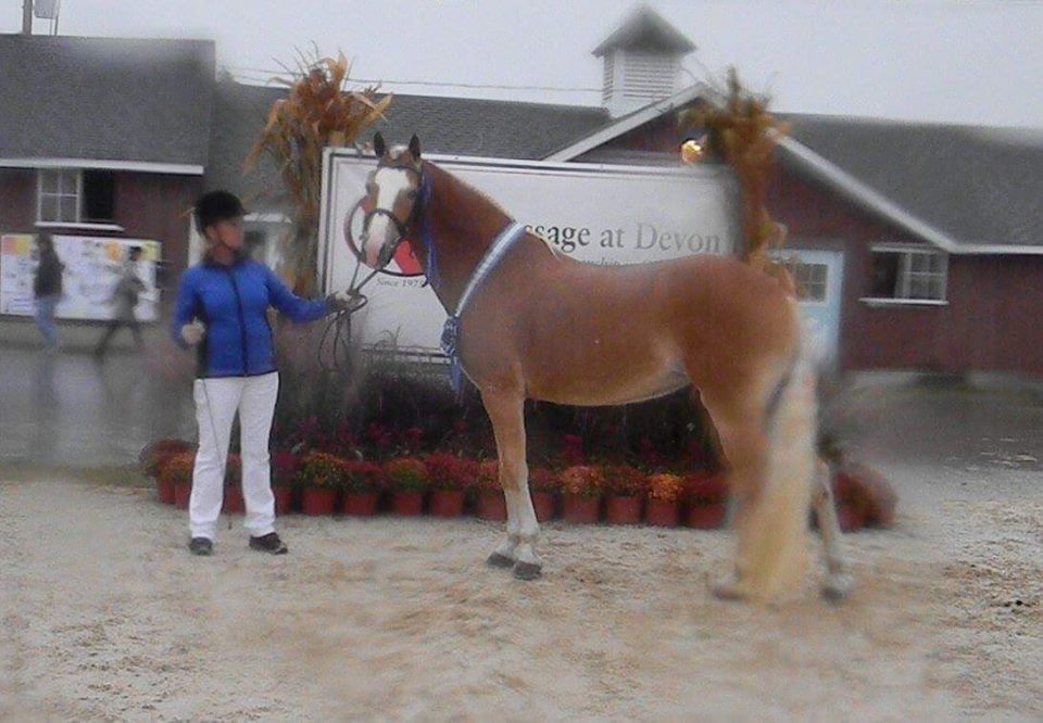 Zeena and her horse