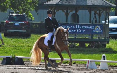 Stellar TVR at the National Dressage Pony Cup