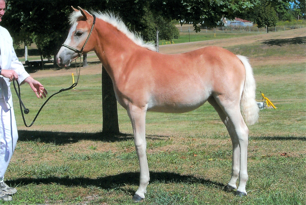 aug2010b