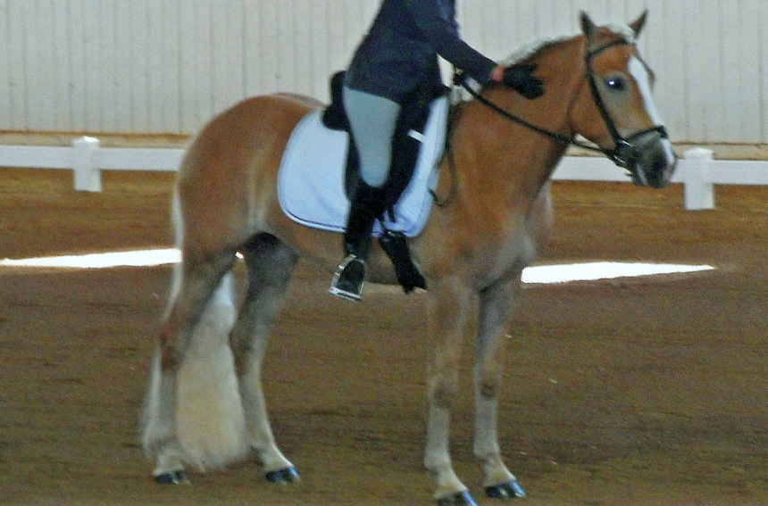 july2010d