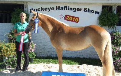 Rosina of New Horizons Wins at Buckeye!