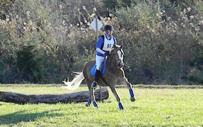 Reahna of Lilac Farms Wins at BCHP Starter Horse Trials!