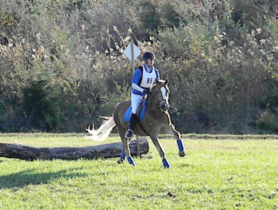 nov2011b