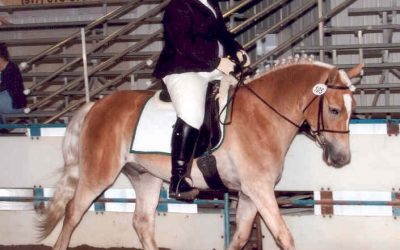 2007 AHR National Show