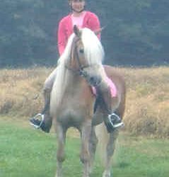 Romantique and Antonio Rose of Lilac Farms at Pink Ribbon Ride