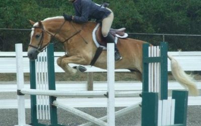 Antonio Rose of Lilac Farms Wins BCHP Aselyn’s Awards