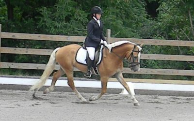 A Black Tie Affair NW_HRZN Makes Dressage Debut