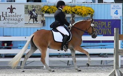 Dressage at Devon Successes!