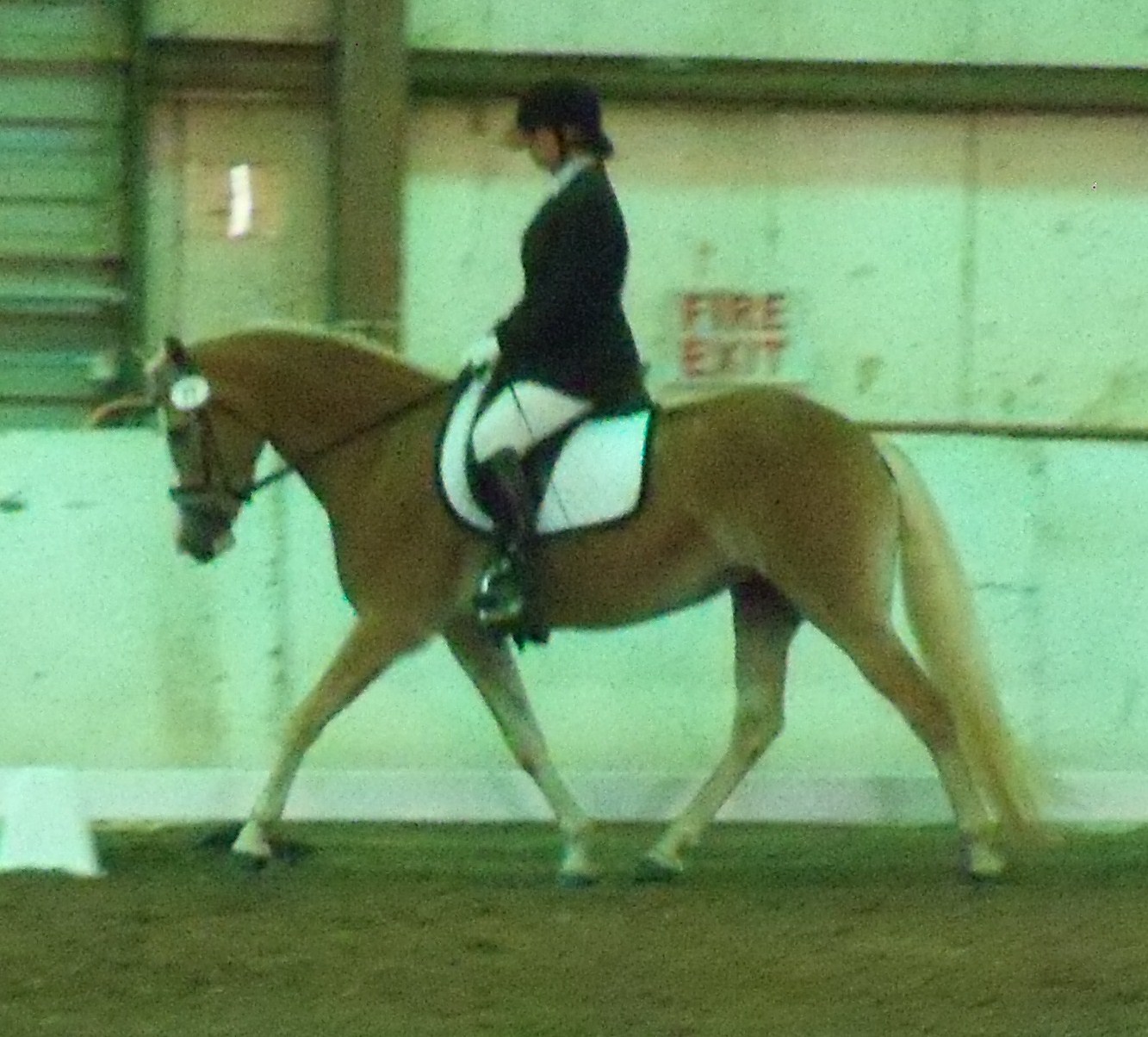 zeena2