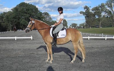 Rosina of New Horizons Makes Dressage Debut